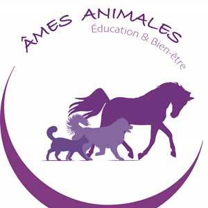 AMES ANIMALES EDUCATION ET BIEN-ETRE à Saint-Denis (93)